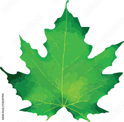 Flat leaves icons. Vector illustration.
