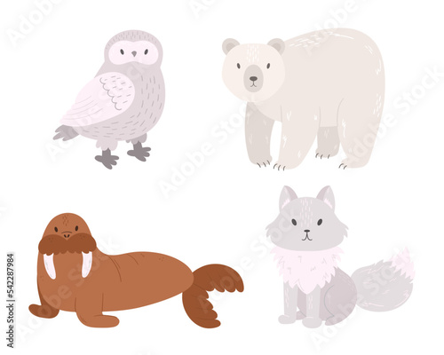 Set Of Arctic Animals Owl  Polar Bear  Walrus  Arctic Fox Isolated On White Background. Wildlife North Pole Creatures