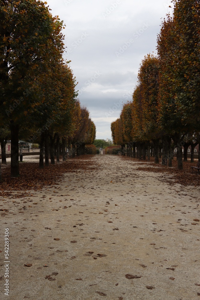 autumn in the city of Avallon in France 