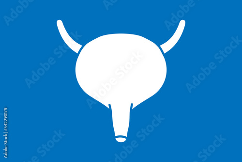 Human bladder symbol isolated on blue background. Human organ icon. Vector illustration.
