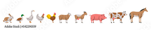 Set of Farm animals. Rabbit, Duck, Goose, Chicken, Rooster, Sheep, Goat, Pig, Cow, Horse silhouettes. Farm animals set