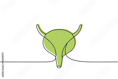 Human bladder one line colored continuous drawing. Human organ continuous colorful one line illustration. Vector minimalist linear illustration.