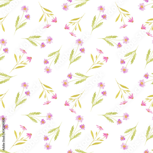 watercolor seamless pattern with meadow wild flowers, pink chamomile, daisy. For decoration and design. Printing on postcards, paper, packaging, fabric. Wedding, romantic, natural style. Spring.