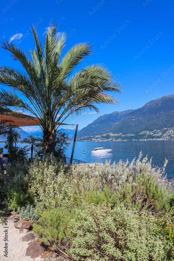 Blick von der schweizer Brissago Insel im Lago Maggiore (Langensee)