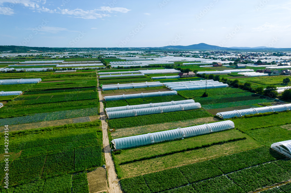 Green fields and large greenhouses where vegetables or flowers are grown.
