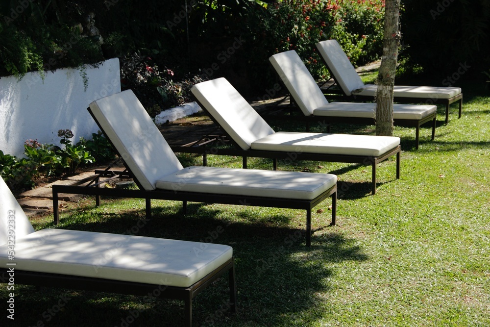 Jardim gramado com espreguiçadeiras - Grassy garden with sun loungers Jardim gramado com espreguiçadeiras - Grassy garden with sun loungers