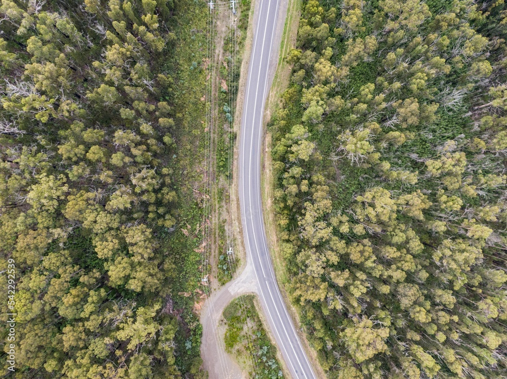 Aerial view of a highway road between forest trees in Tasmania, Australia