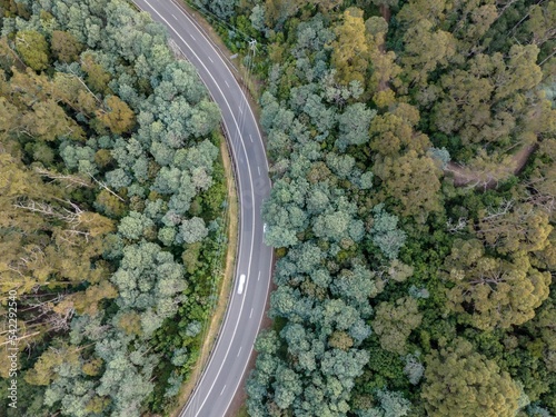 Aerial view of a highway road between high forest trees in Tasmania, Australia