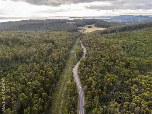 Aerial view of a highway road between forest trees in Tasmania, Australia with sunset sky