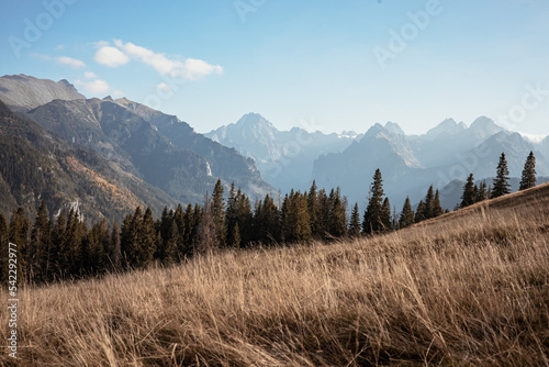 Fototapeta Naklejka Na Ścianę i Meble -  Tatry jesienią