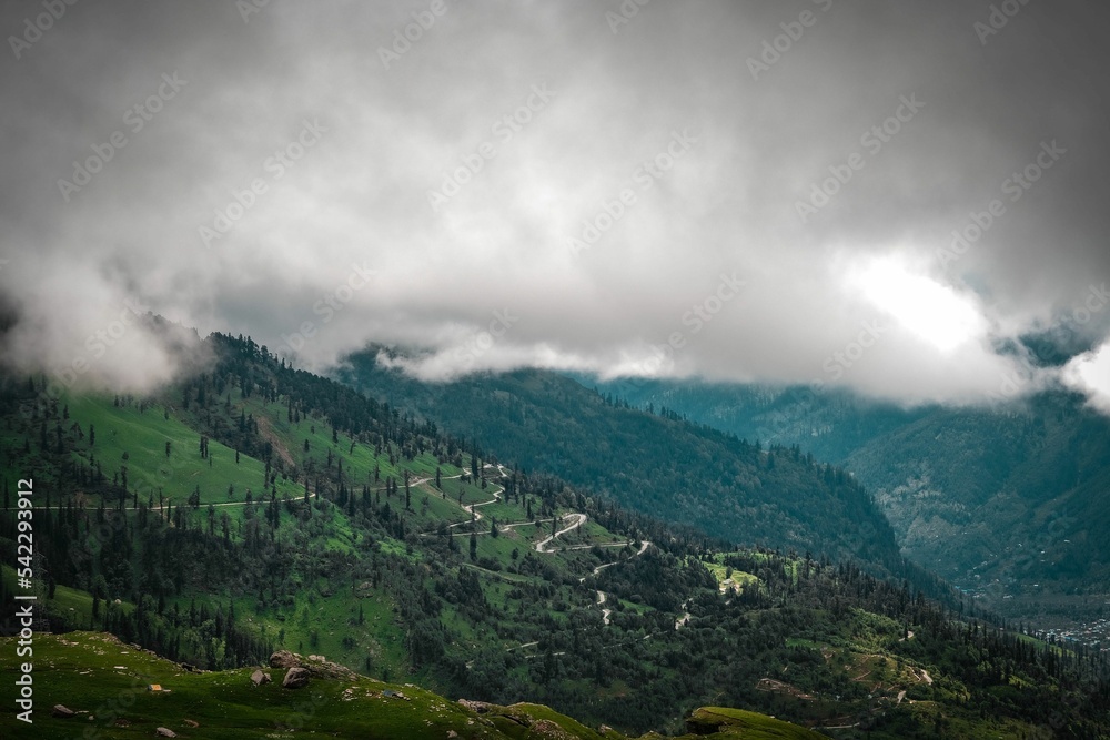 Rocky mountains covered with trees and grass with clouds and fog surrounding it