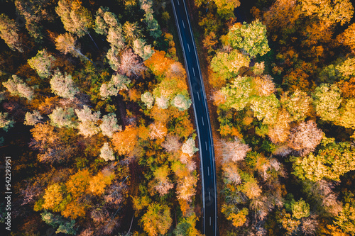 Wald, Herbst, Strasse, von oben, Drohnenaufnahme, Luftbild, Draufsicht © aBSicht