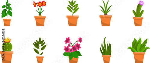Home flowers icon collections vector design