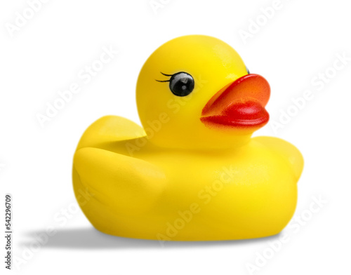 Obraz na plátně Rubber Duck