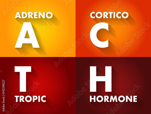 ACTH Adrenocorticotropic hormone - polypeptide tropic hormone produced by and secreted by the anterior pituitary gland, acronym text concept background photo