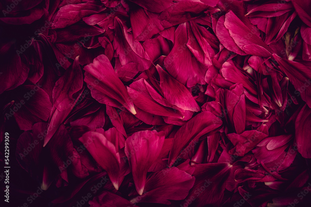 red leaves background