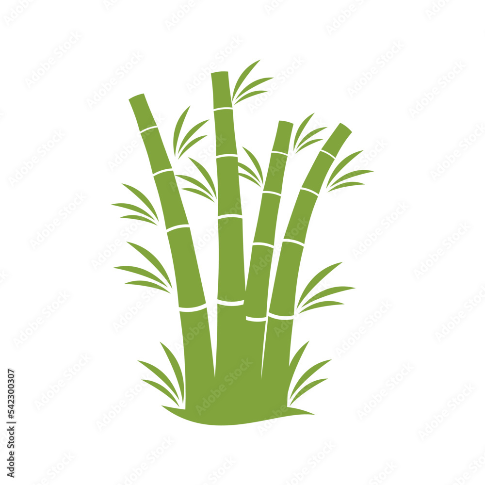 Obraz premium Bamboo tree logo