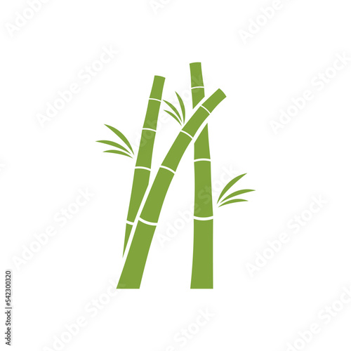 Fototapeta Naklejka Na Ścianę i Meble -  Bamboo tree logo