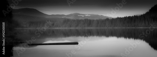 fog on the lake