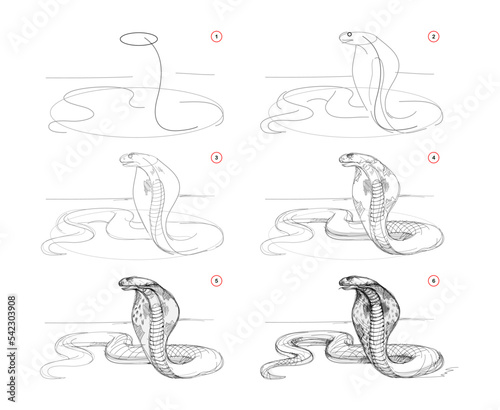 Page shows how to learn to draw sketch of cobra. Creation step by step pencil drawing of snake. Educational page for artists. Textbook for developing artistic skills. online education. vector image.
