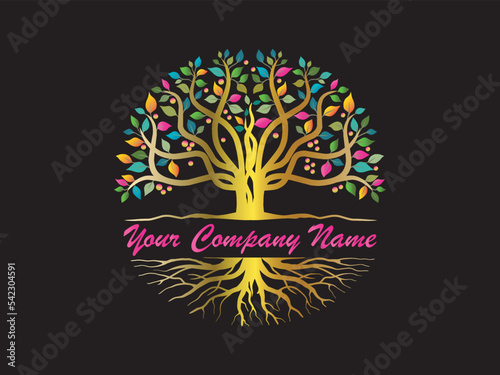 Photography beautiful and elegant tree logo
