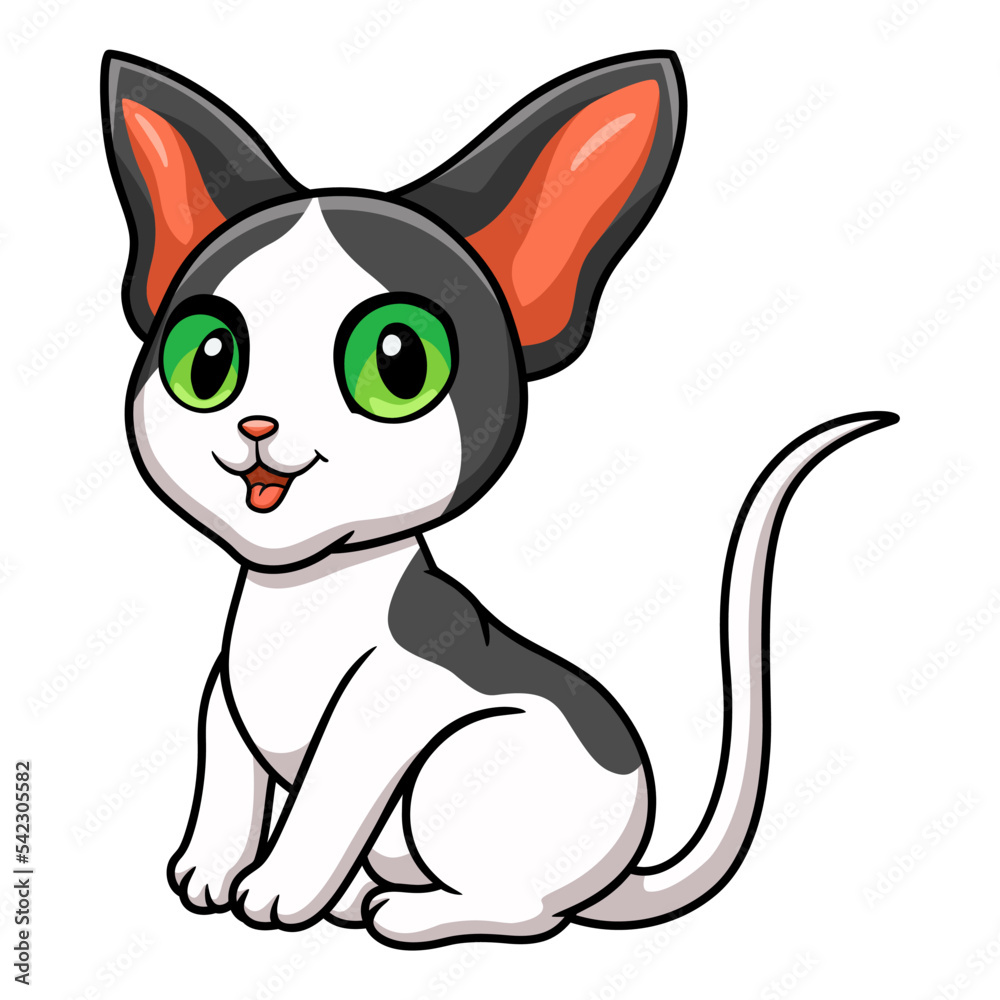 Fototapeta premium Cute oriental cat cartoon sitting