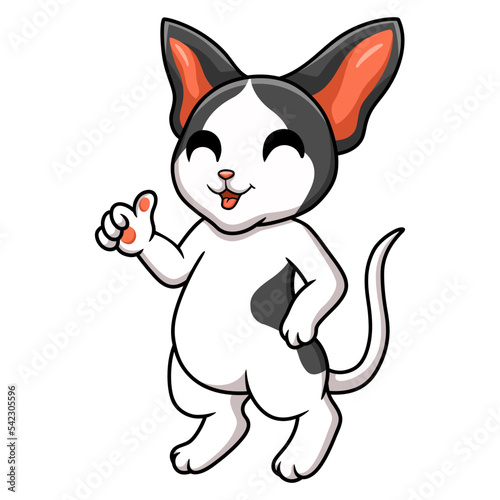 Cute oriental cat cartoon giving thumbs up