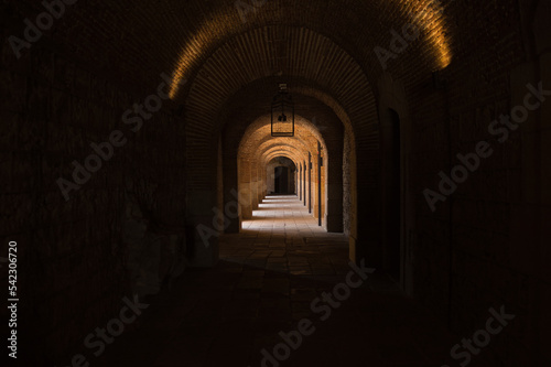 light in the dark