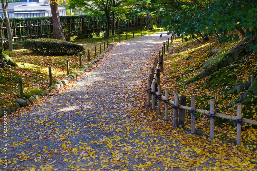 日本庭園のカラフルな落ち葉