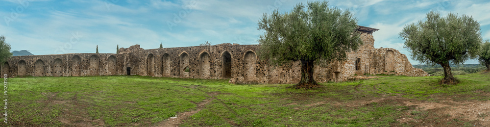 Panoramic view of ruined medieval castle Androusa near Kalamata Greece with two towers and olive trees