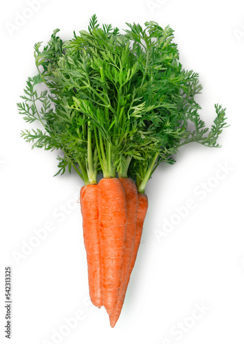 Fresh Carrots