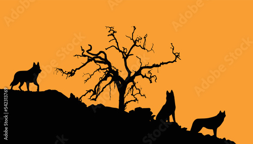 wolf silhouette on mountain on orange background. Vector illustration.