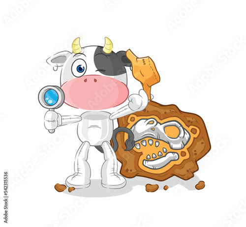 cow archaeologists with fossils mascot. cartoon vector