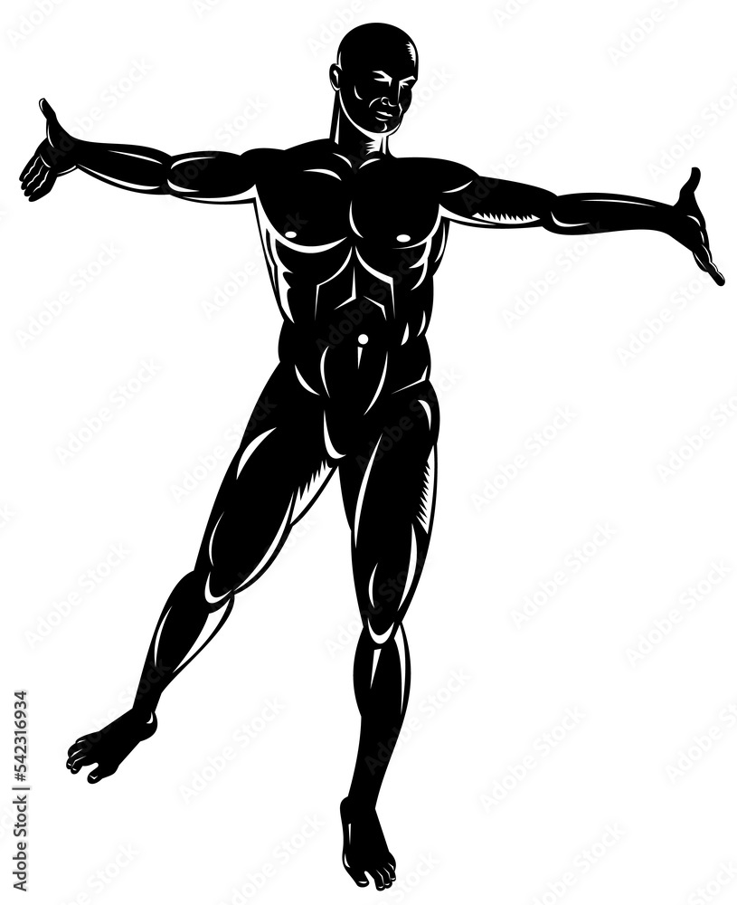 illustration on the human anatomy showing a male standing on isolated background illustration on the human anatomy showing a male standing on isolated background