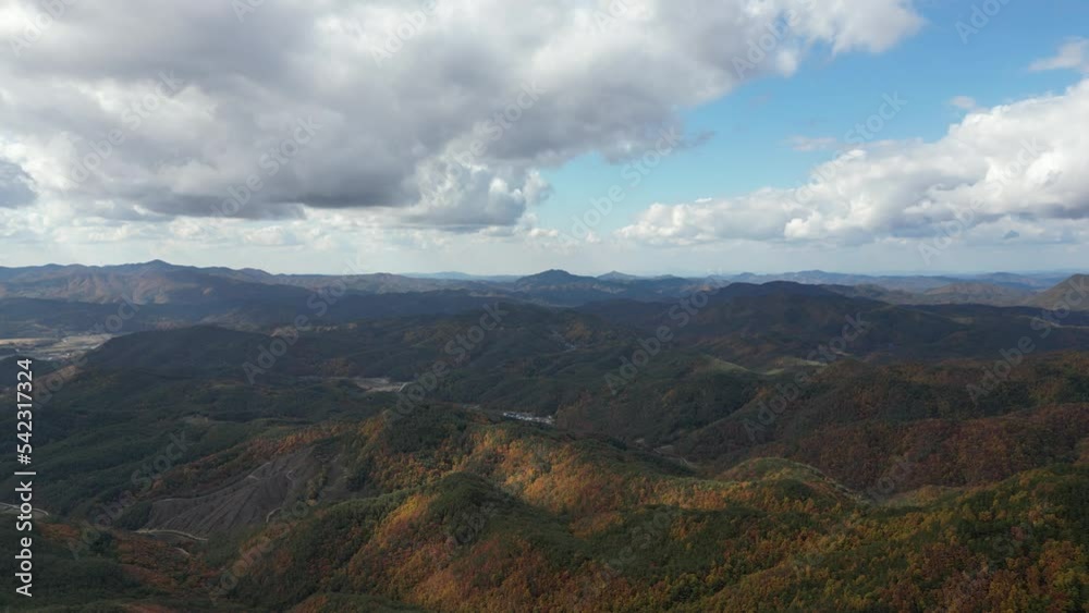 청송 청송