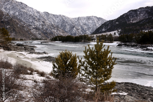 Two lonely pine trees on a rocky bank of a frozen river surrounded by snow-capped mountains.