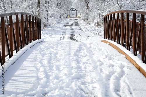 Snowy path in winter photo