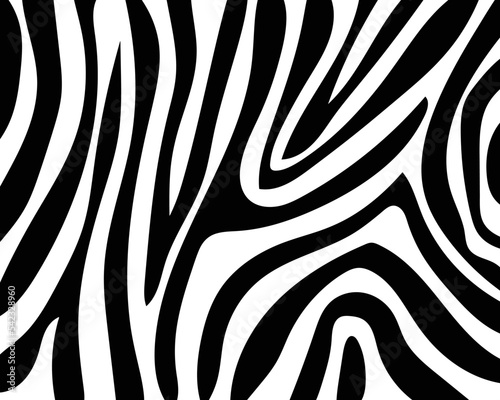 vector zebra skin texture background