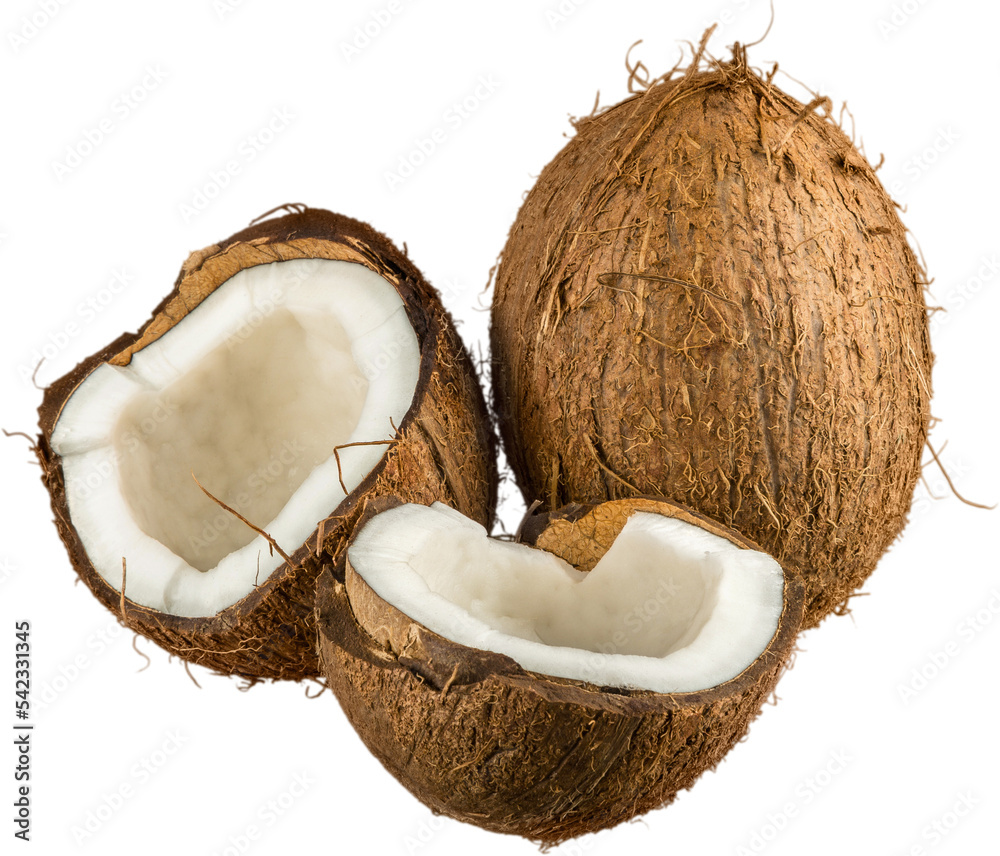 Coconuts Coconuts