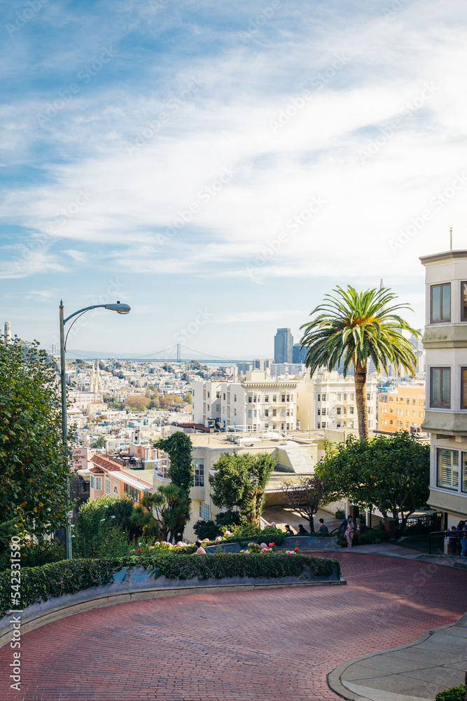Lombard street in San Francisco during summer