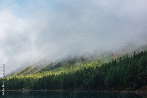 Tranquil misty meditative scenery of glacial lake with forest hill under thick low clouds. Coniferous trees on hillside reflected in calm alpine lake. Mountain lake and dense fog at early morning. © Daniil