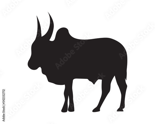 Indian ox with horns silhouette vector isolated. Ongole cattle breed. Bull with large horns.