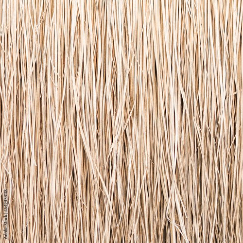 Close up of thatch roof or wall background. Tropical roofing on beach