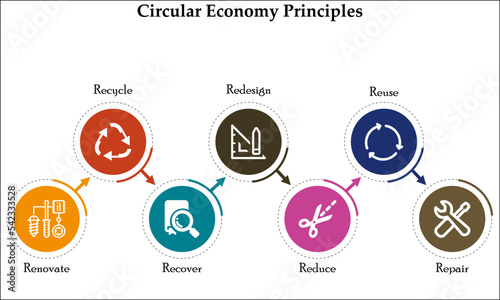Circular Economy Principles - renovate, recycle, recover, redesign, reduce, reuse, repair. Infographic template with icons.
