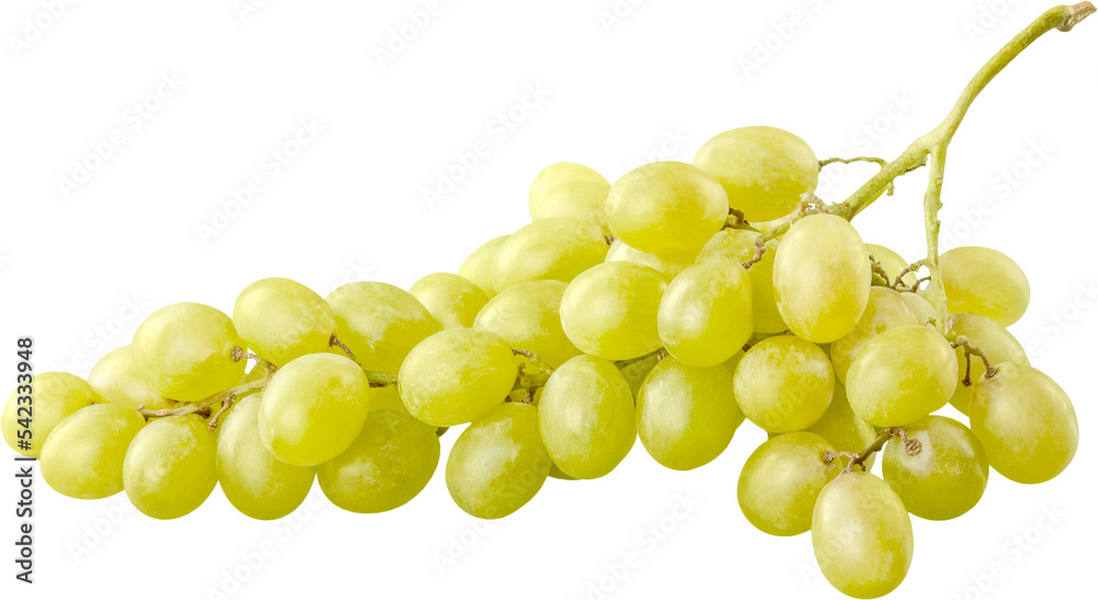 White grapes, Isolated on white background