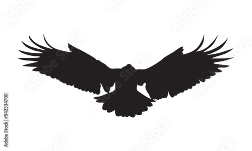Eagle flying vector isolated on white background. Eagle or hawk during hunting silhouette. 