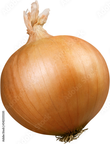 Vidalia onion