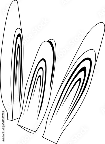 Lemon Grass Leaf Drawing Line Chop