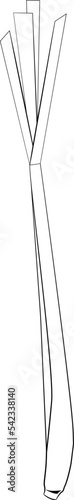 Lemon Grass Leaf Drawing Line