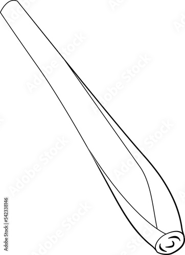 Lemon Grass Leaf Drawing Line
